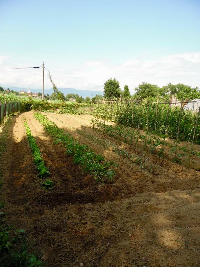 Al Borgo Bed and Breakfast Λούκα Εξωτερικό φωτογραφία